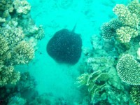 /album/fotogalerie-egypt-2008/egypt-2008-2-034-jpg/